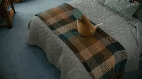 Ảnh: List25 Ảnh: List25