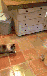 Ảnh: List25 Ảnh: List25