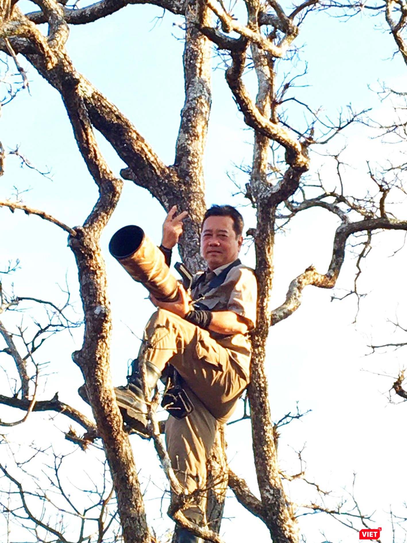 Ma Rừng phơi nắng trên cây cả buổi chỉ để chụp được 1 khoảnh khắc đẹp