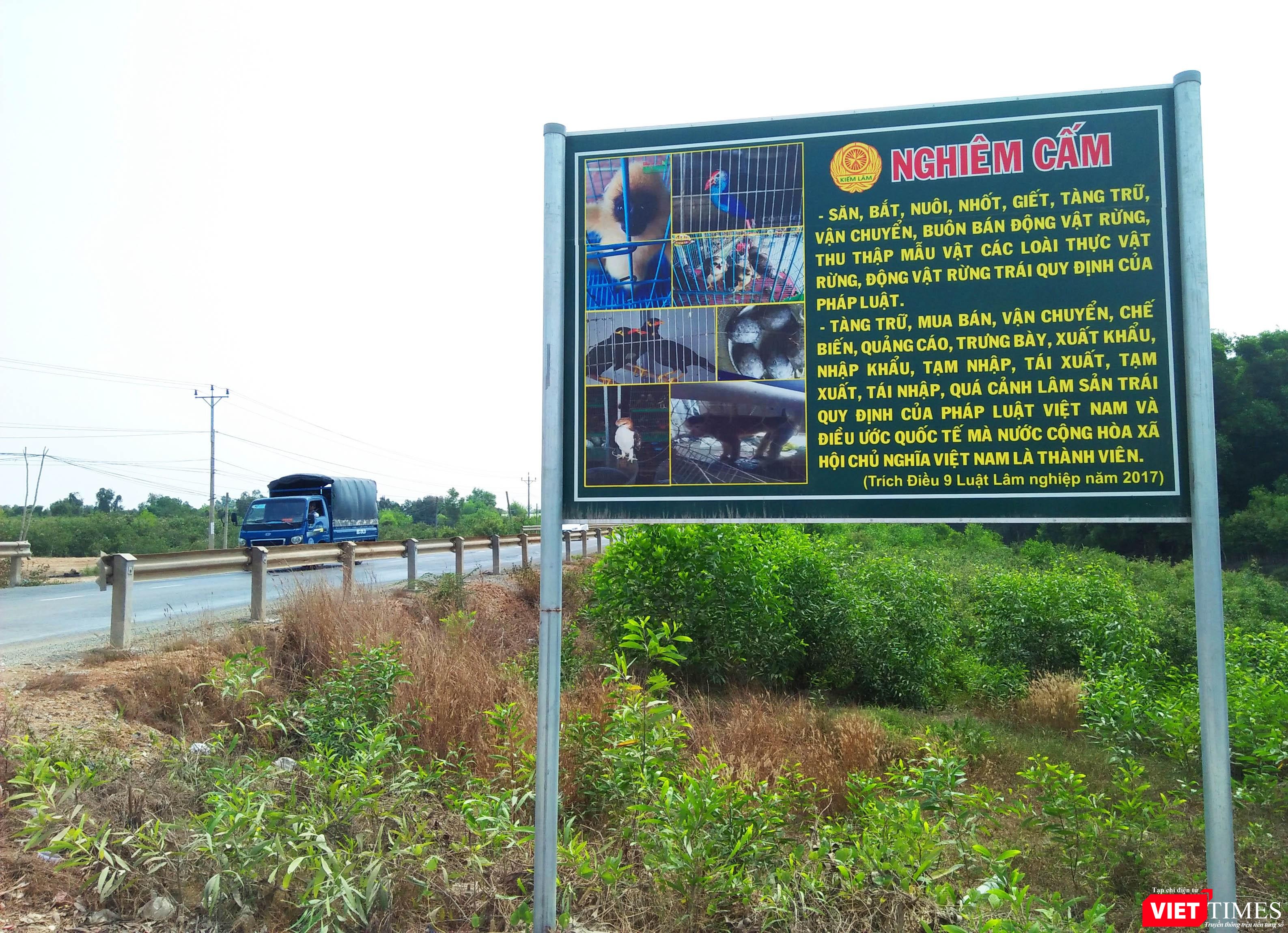 Bất chấp bảng nghiêm cấm dựng cách "chợ chim" Thạnh Hóa không xa