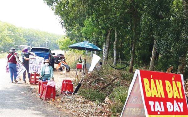 Kể từ năm 2017, thị trường bất động sản lặp đi lặp lại nhiều đợt sốt đất. Kể từ năm 2017, thị trường bất động sản lặp đi lặp lại nhiều đợt sốt đất.