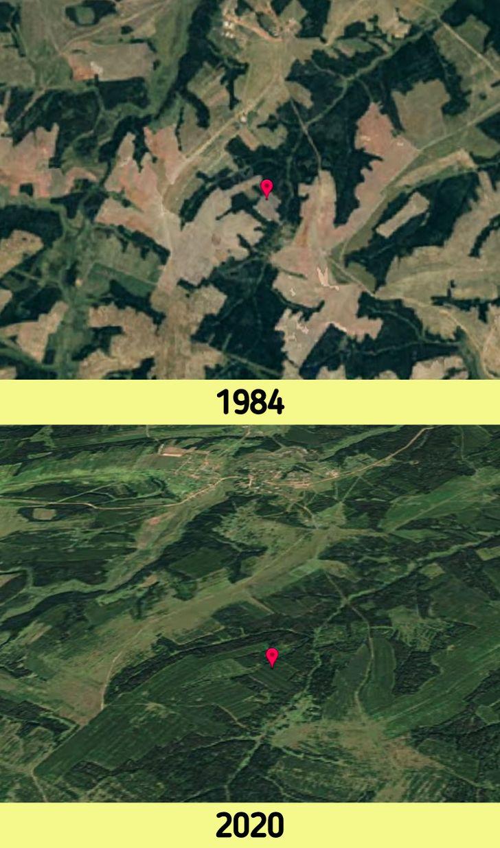 Ảnh: BrightSide Ảnh: BrightSide