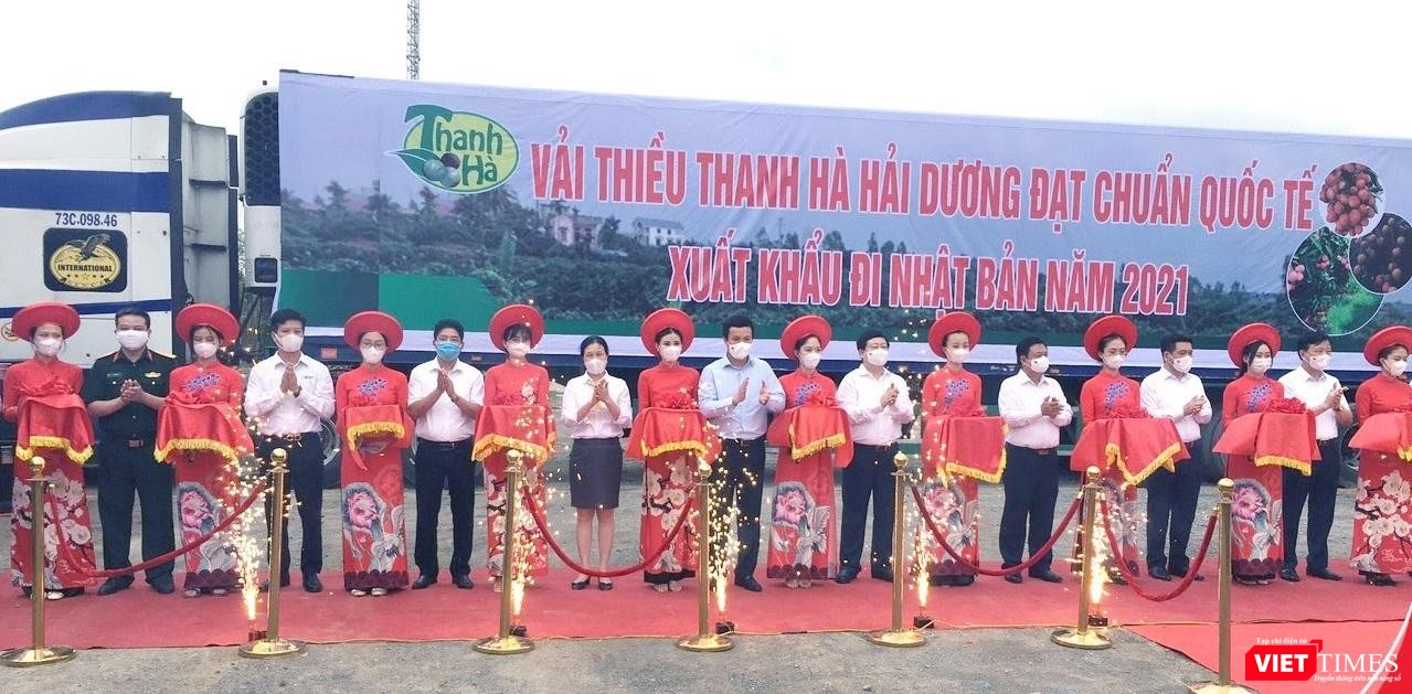 Riêng huyện Thanh Hà - “thủ phủ” vải thiều của tỉnh Hải Dương, năm 2021 có 3.328 ha vải, trong đó có khoảng 1.600 ha vải sớm, còn lại là vải chính vụ.