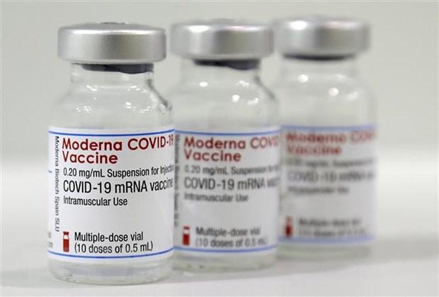 Vaccine phòng COVID-19 do Công ty Moderna sản xuất (Ảnh - AFP) Vaccine phòng COVID-19 do Công ty Moderna sản xuất (Ảnh - AFP)