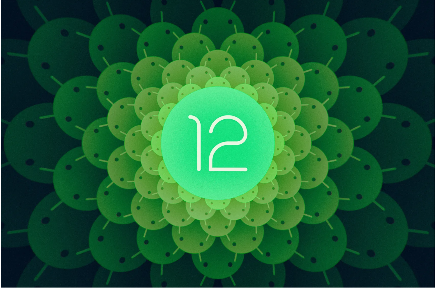 Ảnh: The Verge Ảnh: The Verge