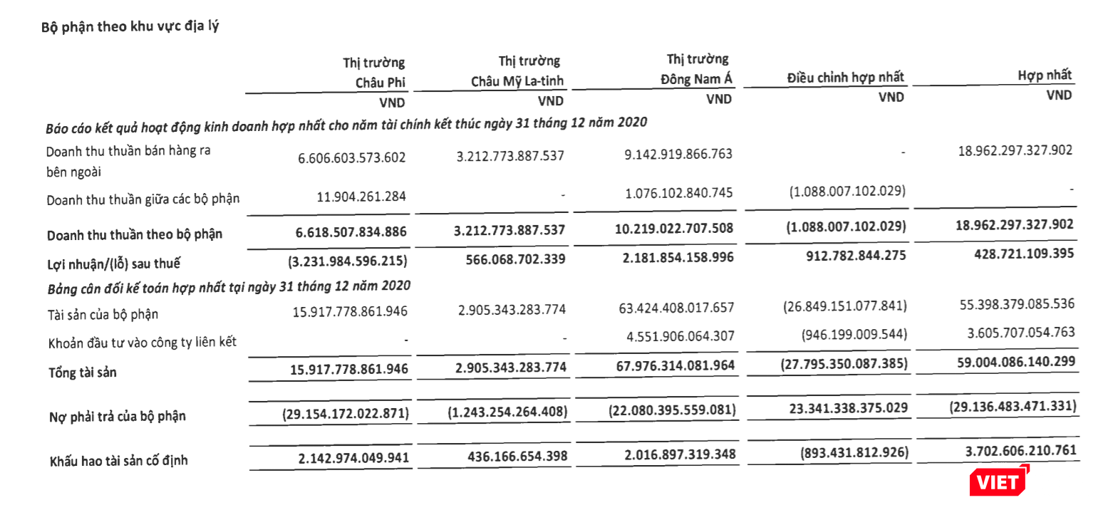 Báo cáo bộ phân theo khu vực địa lý của Viettel Global