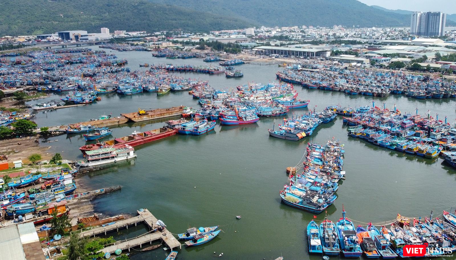 Một góc âu thuyền Thọ Quang - TP Đà Nẵng, một điểm nóng môi trường của địa phương Một góc âu thuyền Thọ Quang - TP Đà Nẵng, một điểm nóng môi trường của địa phương