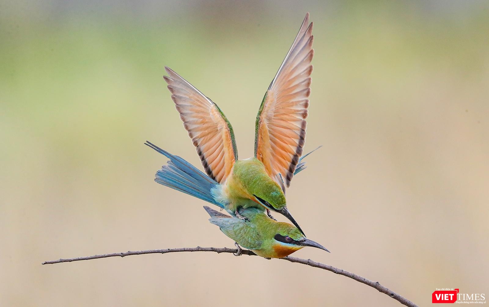 Khoảnh khắc ân ái