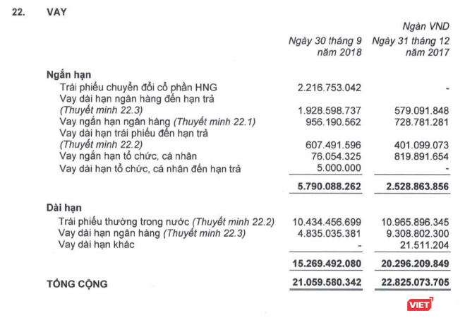 HAG: Lãi 516 tỷ đồng từ giảm sở hữu tại HAGL Land, vay tỷ phú Trần Bá Dương 500 tỷ đồng - ảnh 2