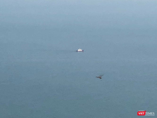 Những hình ảnh đầu tiên của tàu sân bay Mỹ Carl Vinson tại Đà Nẵng - ảnh 3