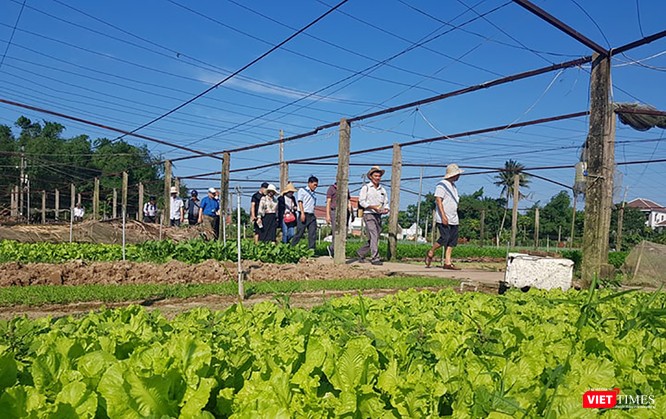 Du lịch gắn với nông nghiệp nông thôn nhiều tiềm năng, nhưng phát triển chưa xứng tầm - ảnh 3
