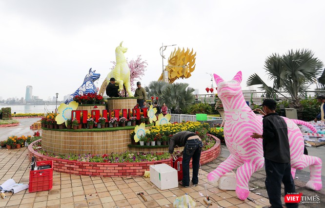 Ảnh: Đà Nẵng khoác áo hoa đón xuân mới Mậu Tuất - ảnh 17