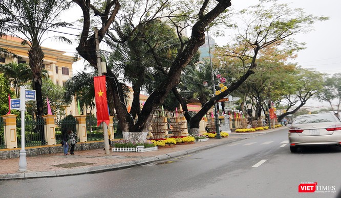 Ảnh: Đà Nẵng khoác áo hoa đón xuân mới Mậu Tuất - ảnh 22