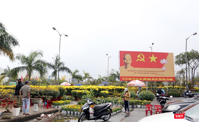 Ảnh: Đà Nẵng khoác áo hoa đón xuân mới Mậu Tuất - ảnh 3