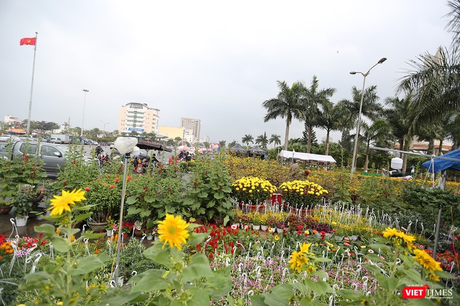 Ảnh: Đà Nẵng khoác áo hoa đón xuân mới Mậu Tuất - ảnh 4