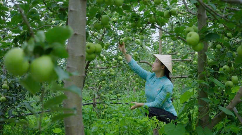 Làng quê Trung Quốc qua ống kính trở nên bình dị, thu hút nhiều người. (Ảnh: Instagram) 