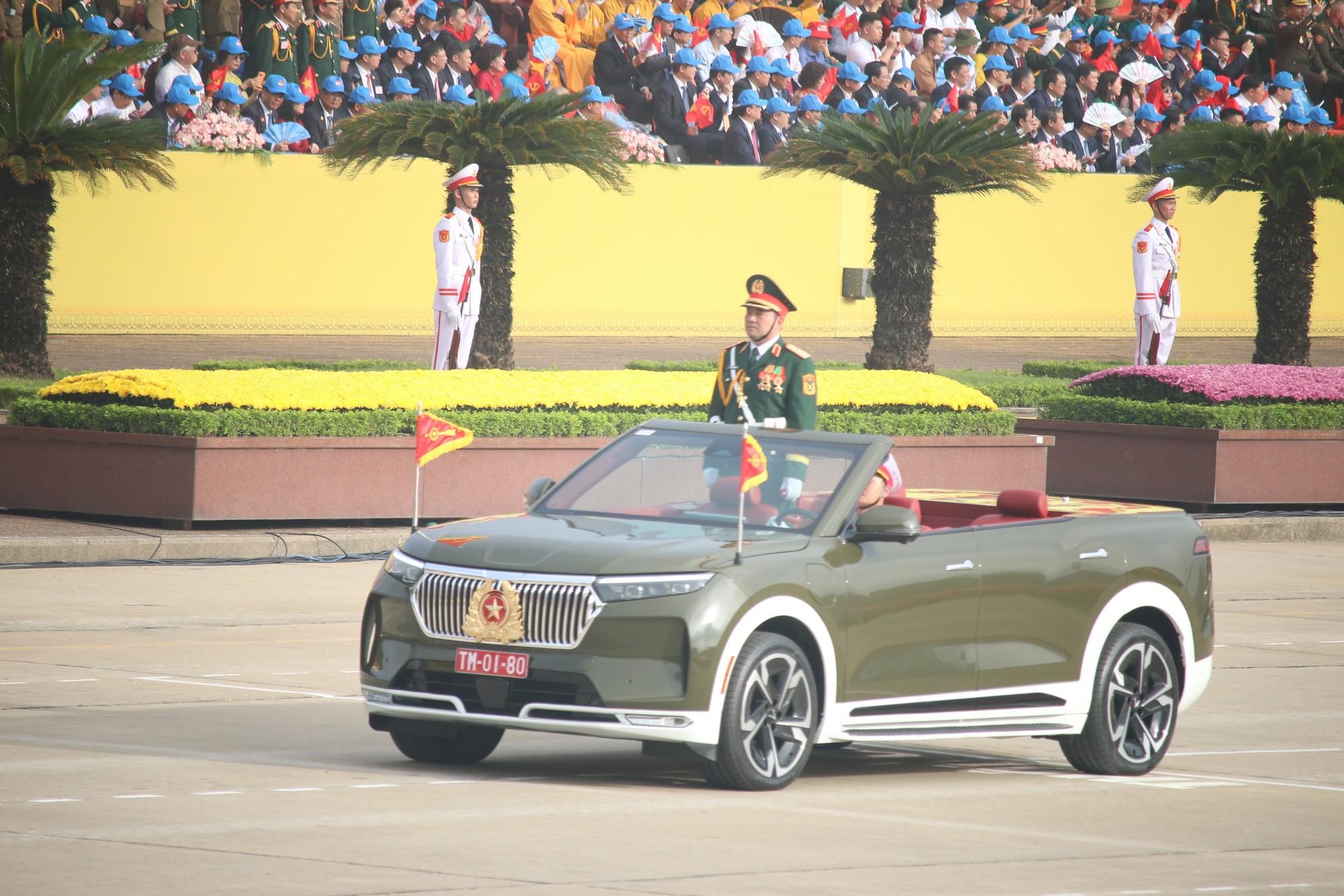 IMG_5187.JPG