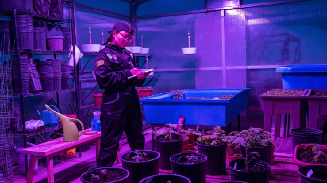 Nhà thực vật học và nhân viên an toàn và sức khỏe của phi hành đoàn MARS-V đang ghi chép trong nhà kính môi trường sống trên sao Hỏa. Ảnh: MARS-V. Trại sao Hỏa bí ẩn giữa sa mạc Mông Cổ 30 ngày trong cái lạnh -30°C, ăn uống như phi hành gia 8.png