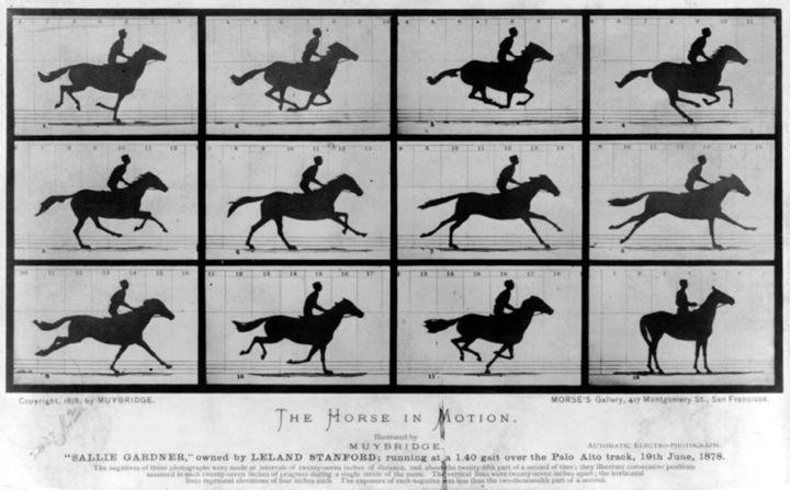 The Horse in Motion