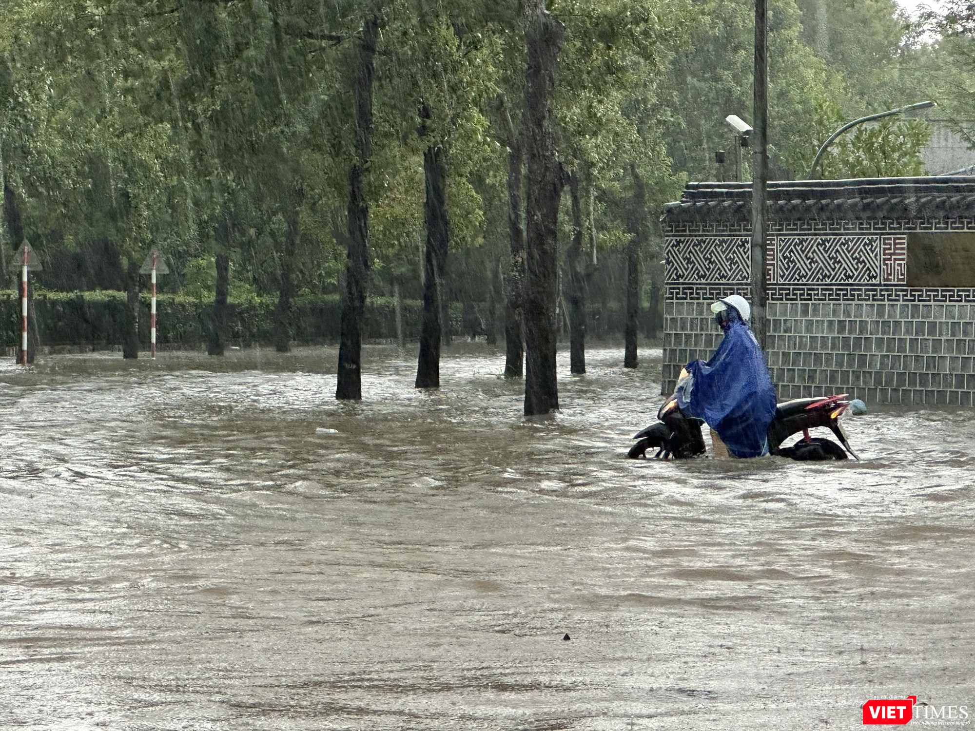 vt-ngập 3.jpg