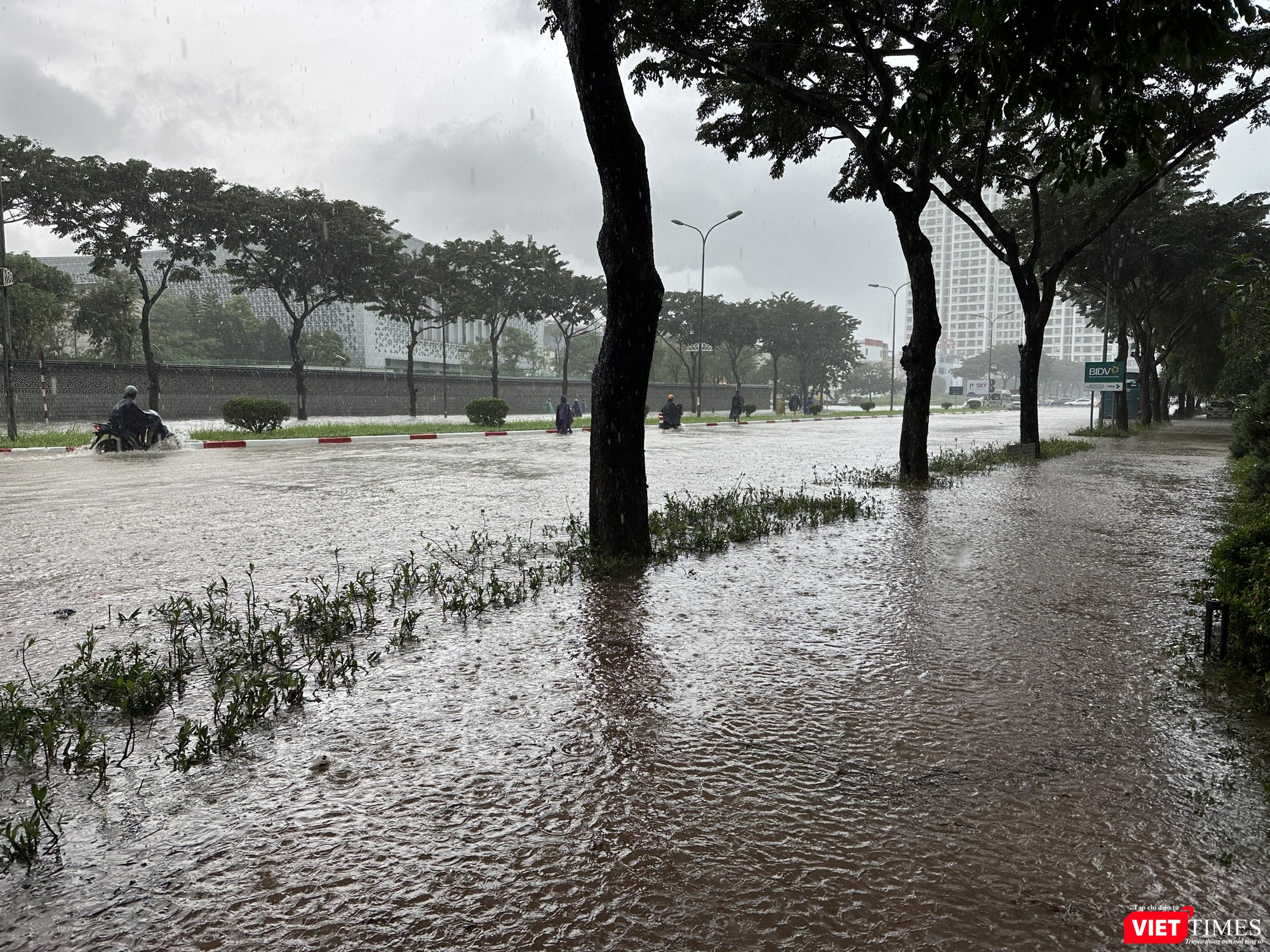 vt-ngập1.jpg