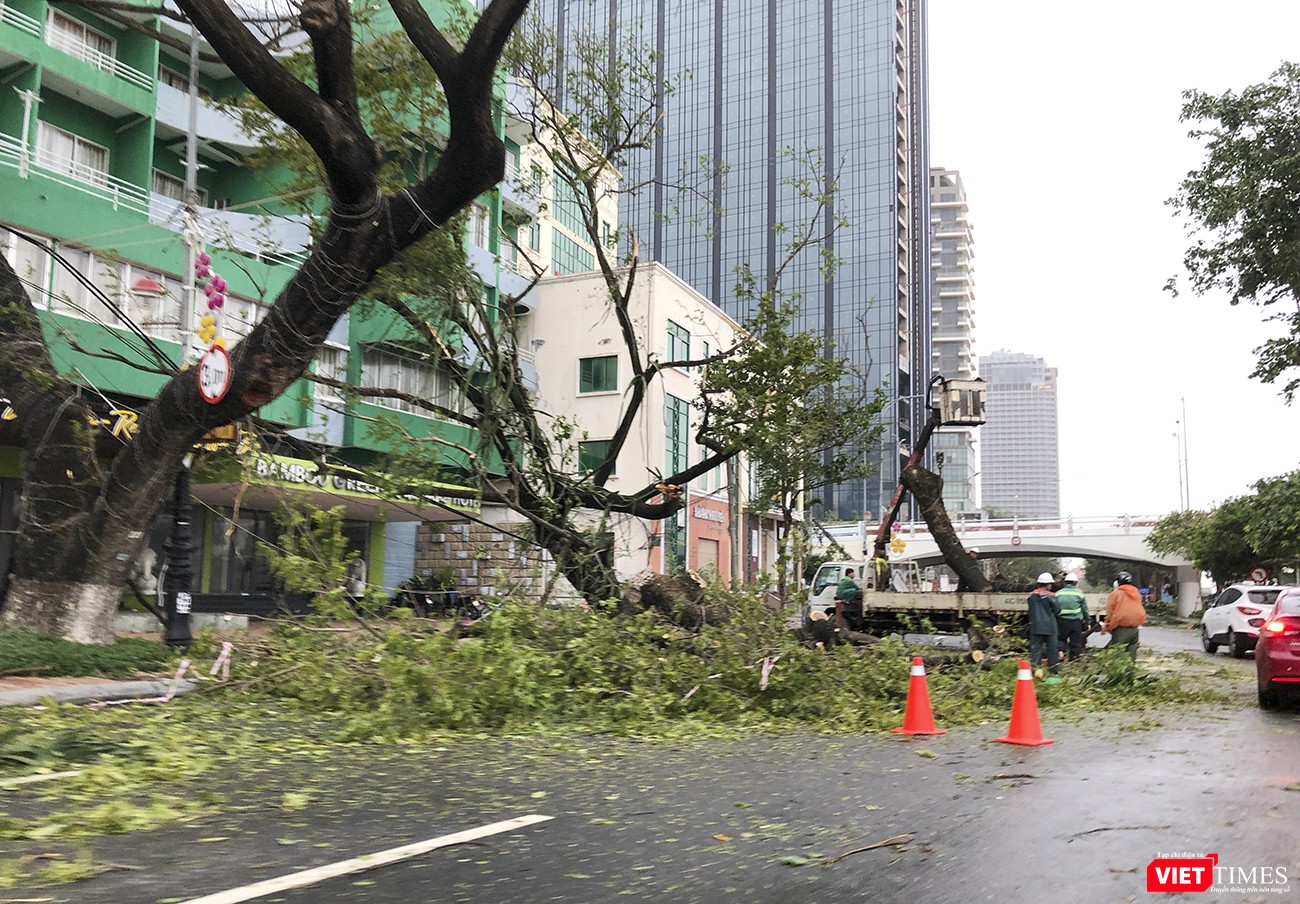 Cây cổ thụ trên đường Bạch Đằng bị gãy đổ nhanh chóng được dọn dẹp