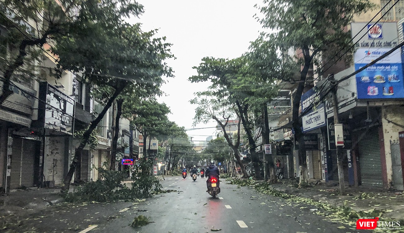 Cảnh xơ xác kéo tận đến gần cuối đường