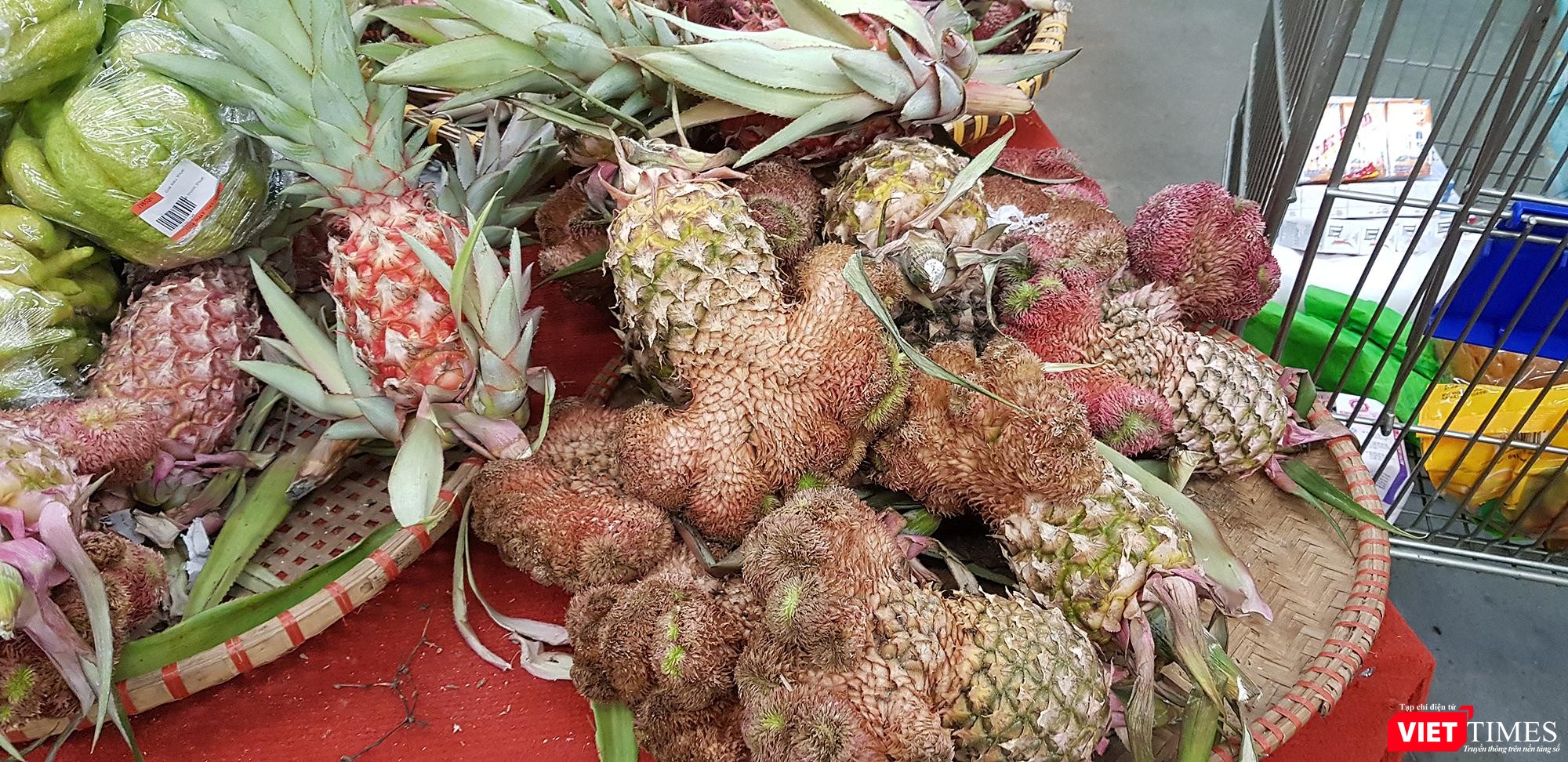 "Khóm long phụng" - một loại dứa cảnh mới có màu sắc sặc sỡ và hình dáng kỳ lạ đang rất thu hút khách hàng mua bày dịp Tết. Mỗi một trái dứa lạ này được bán với giá 35.000 đồng