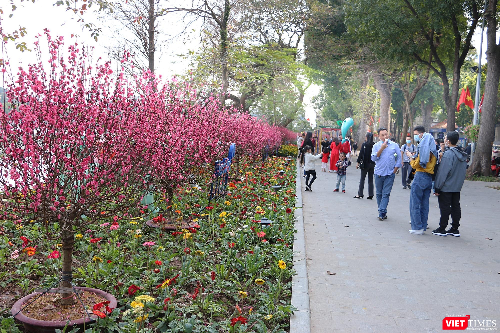 Vỉa hè đi bộ ven Hồ Gươm được trang hoàng bằng những cành đào đỏ thắm
