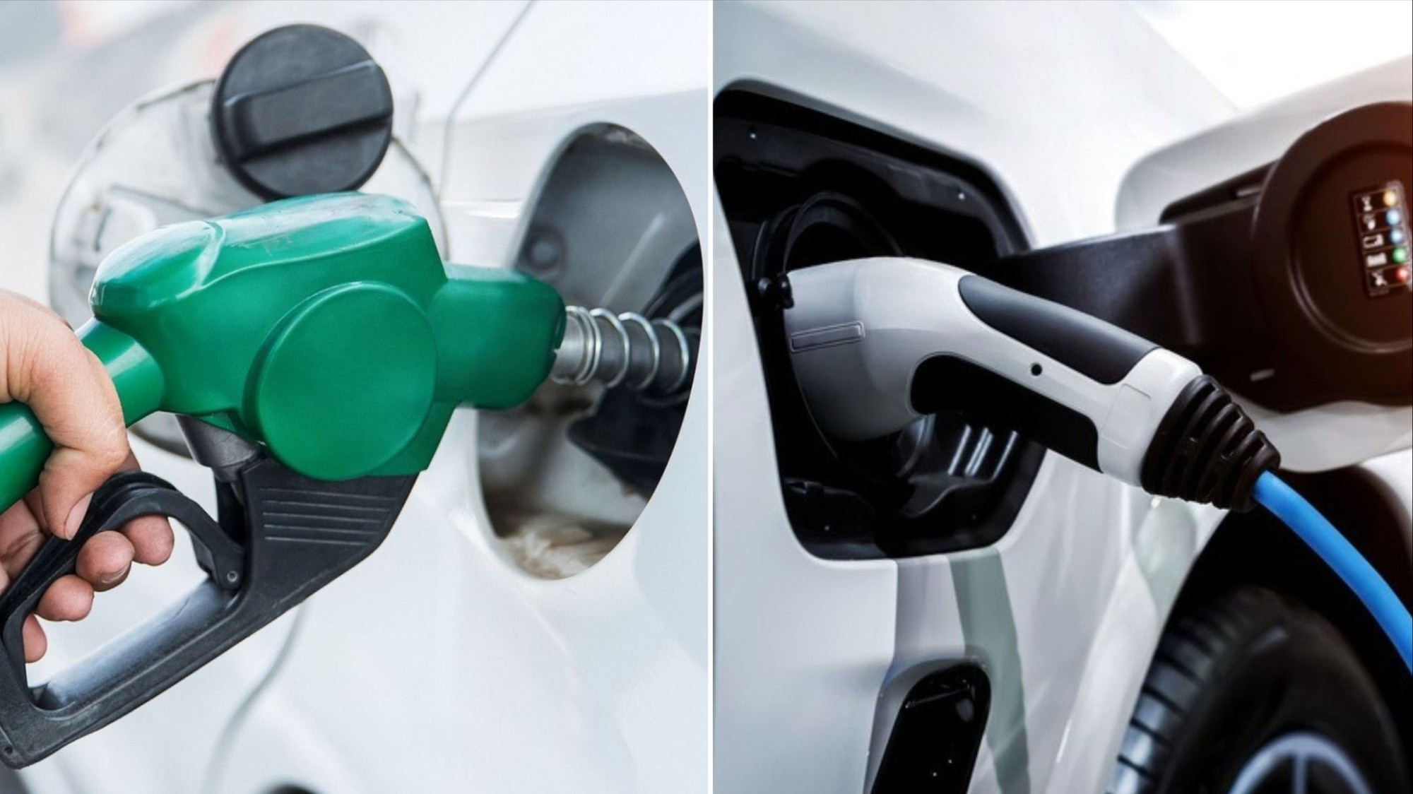 Thêm tiêu đề phụ (1).jpg