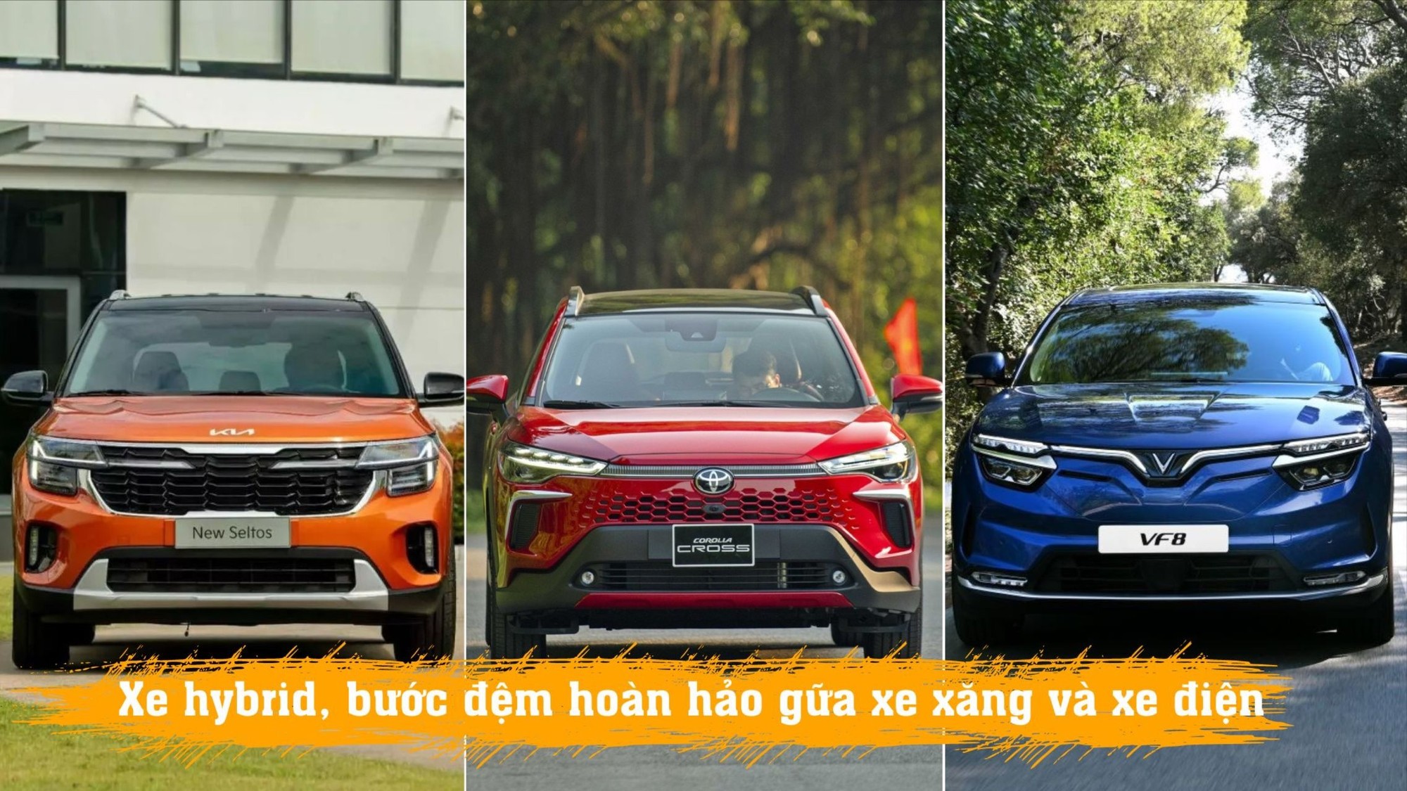 Thêm tiêu đề phụ (2).jpg