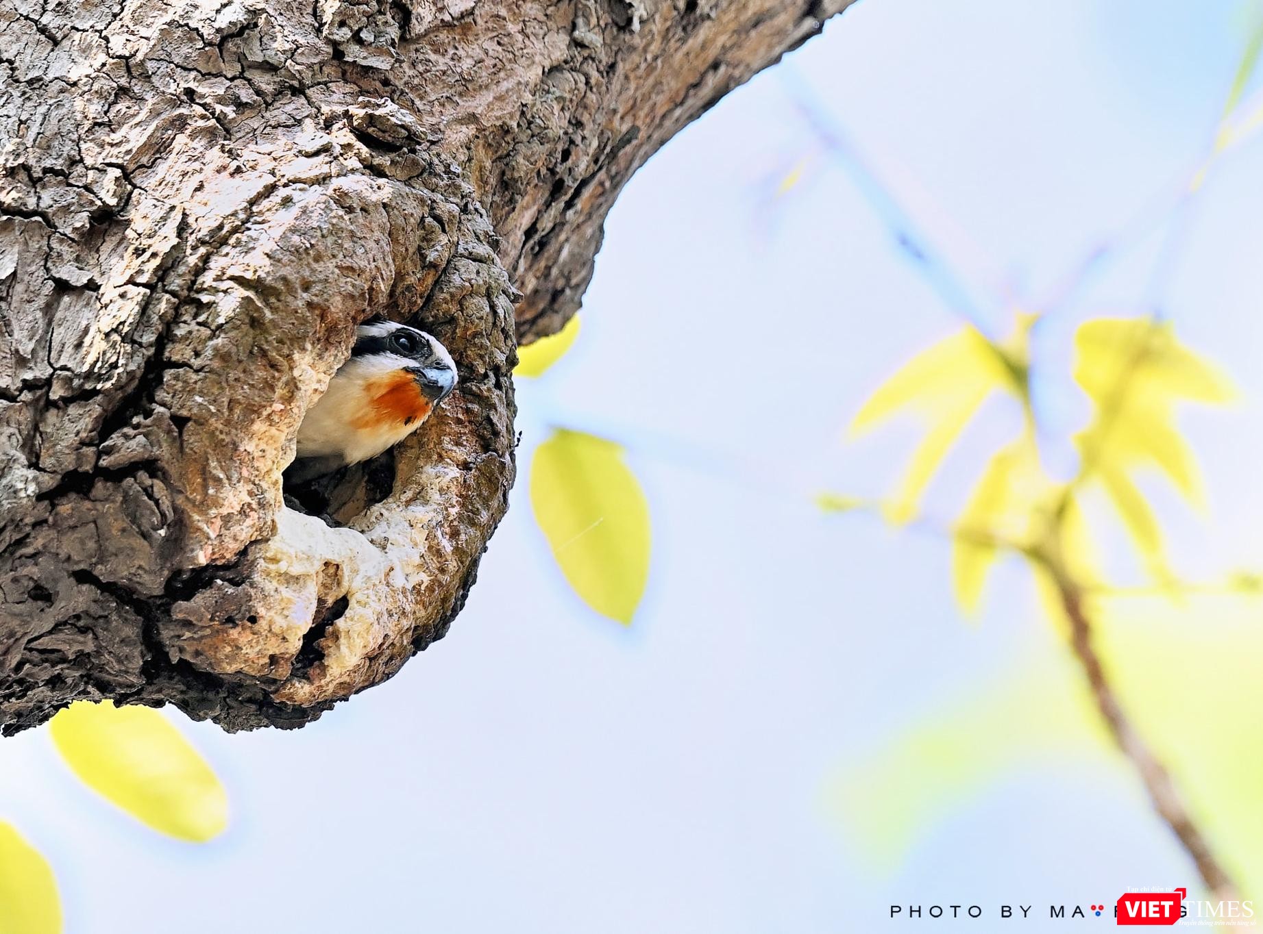 "Ngôi nhà nhỏ trên thảo nguyên"- Riêng cái tên ảnh đã dễ thương "Ngôi nhà nhỏ trên thảo nguyên"- Riêng cái tên ảnh đã dễ thương