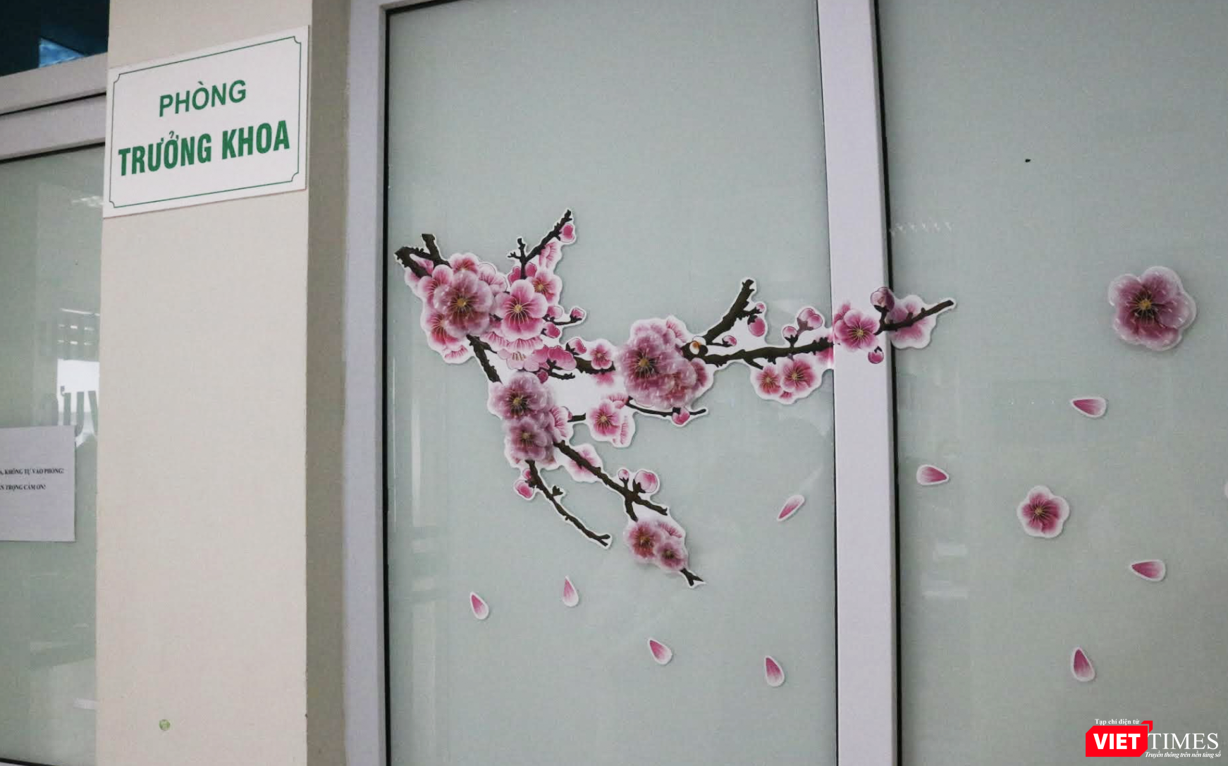 Do đón Tết xa nhà, làm việc 24/24 nên các bác sĩ đã dán hình ảnh cây đào để tạo không khí đón mừng năm mới, thay thế cho cây đào thật (Ảnh - Minh Thuý)