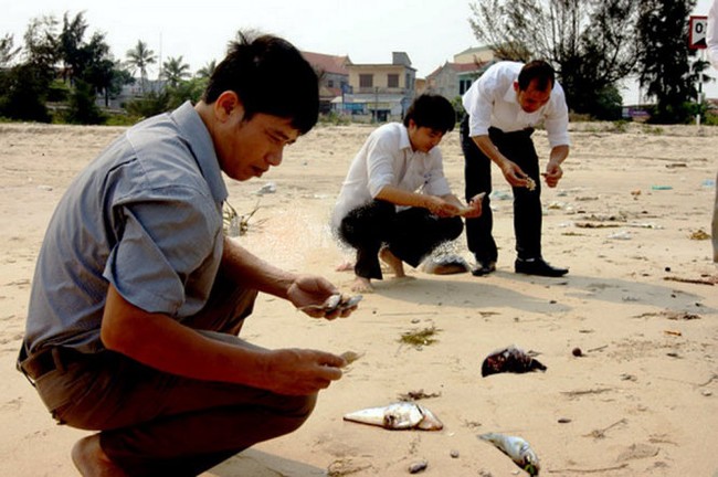Video: Nhìn lại 84 ngày truy tìm nguyên nhân thảm họa cá chết - ảnh 5
