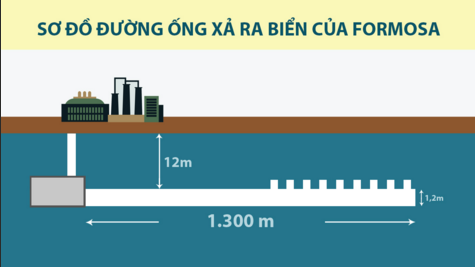 Video: Nhìn lại 84 ngày truy tìm nguyên nhân thảm họa cá chết - ảnh 3