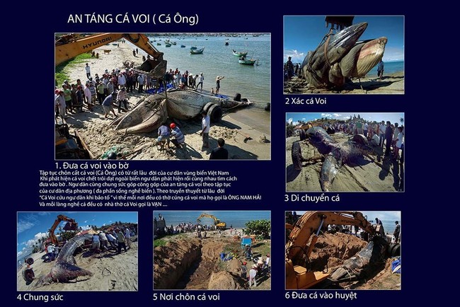 Tác phẩm “An táng cá voi” của tác giả Đỗ Hữu Tuấn