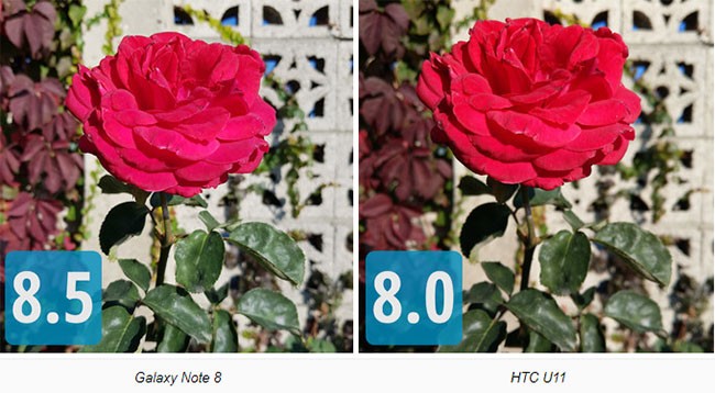 So sánh camera “thần thánh” của Galaxy Note 8, LG V30, HTC U11 và iPhone 8 Plus - ảnh 4