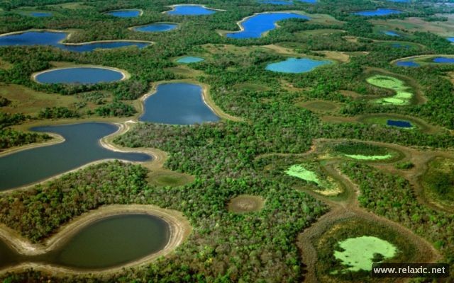 Kỳ thú khu tự nhiên hoang dã Pantanal - Brazil - ảnh 6