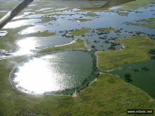 Kỳ thú khu tự nhiên hoang dã Pantanal - Brazil - ảnh 11