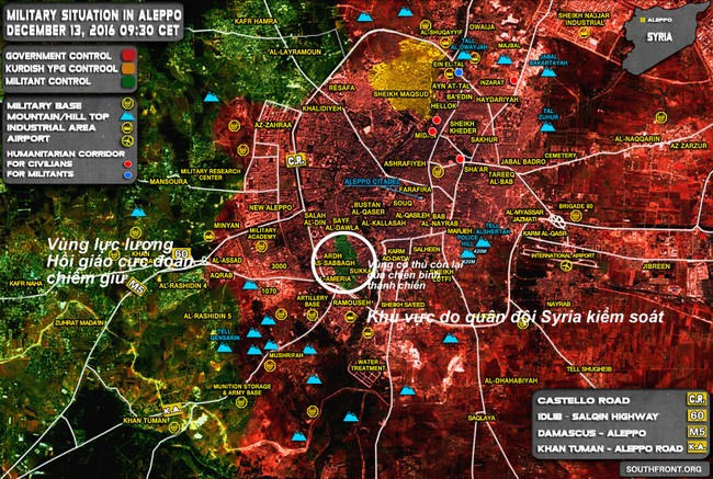 Sau khi giải phóng Aleppo, quân đội Syria có thể quét sạch IS ở tỉnh Homs? - ảnh 1