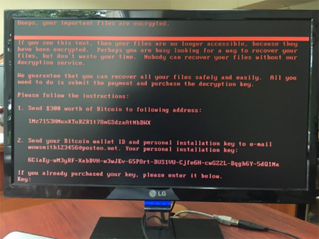 Thế giới rúng động vì mã độc tống tiền Petya - ảnh 1