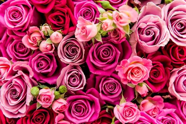 Bạn đã biết nguồn gốc, ý nghĩa của ngày Valentine 14/2? - ảnh 3