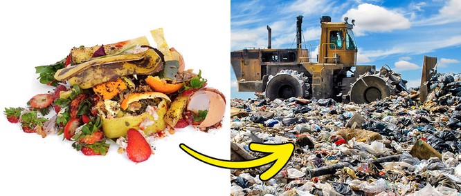 Sự thật kinh hoàng về rác thải trên trái đất - ảnh 8