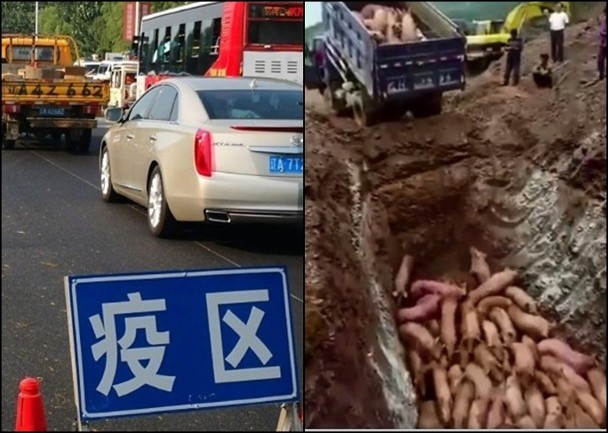 [Image: dich_trung_quoc_ulrv.jpg]