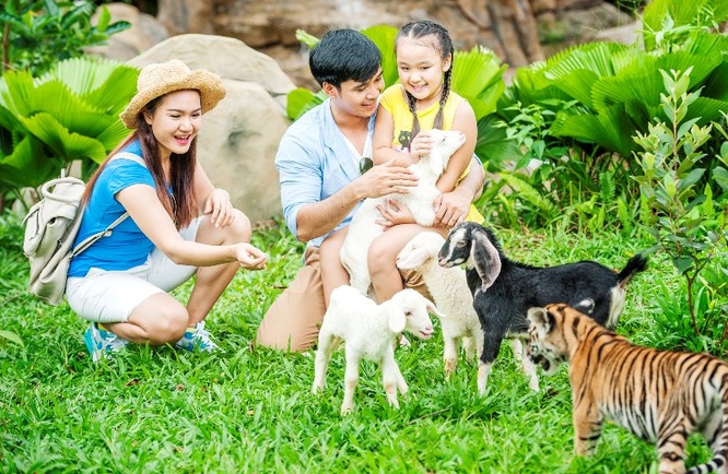 Vườn thú mở Safari chỉ có tại Vinpearl Phú Quốc
