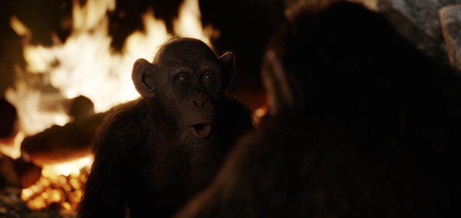 Phim “Kong: Đảo đầu lâu” sẽ thắng giải Oscar 2018 vào rạng sáng mai? - ảnh 5