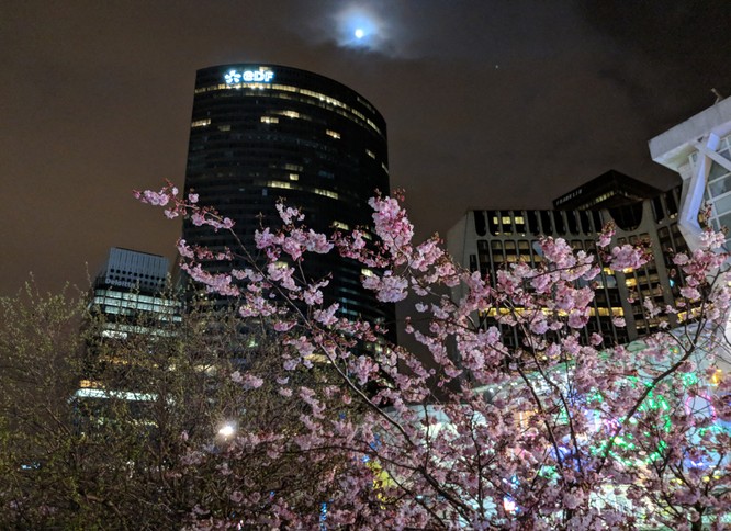 Test camera Huawei P20 Pro và Pixel 2 XL: kết quả bất ngờ ngoài dự đoán! - ảnh 2