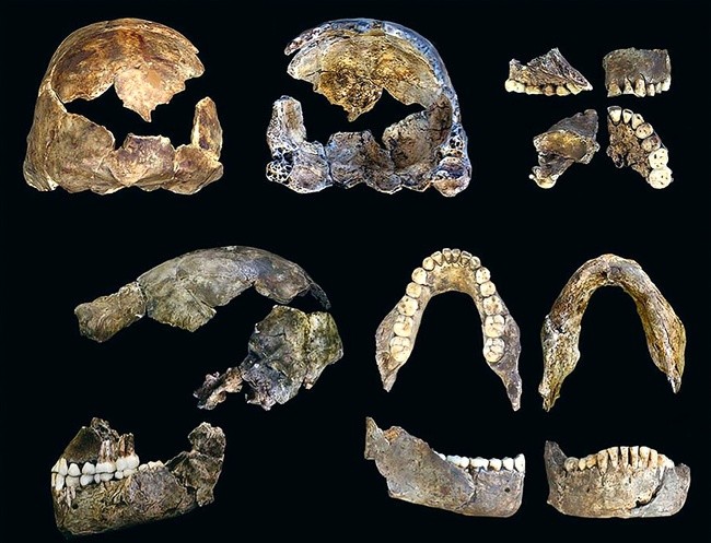 13 khám phá khoa học đáng tự hào sẽ thay đổi cuộc sống nhân loại - ảnh 4