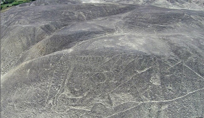 Bí ẩn hình vẽ cá voi sát thủ khổng lồ trên sườn đồi giữa sa mạc Peru - ảnh 2