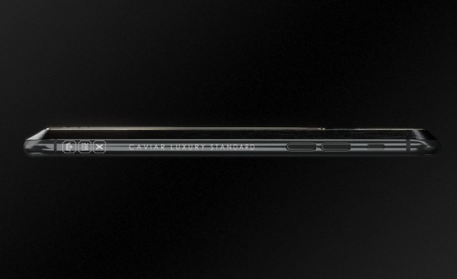 Chiêm ngưỡng chiếc iPhone X Tesla giá chát 4000 USD - ảnh 6